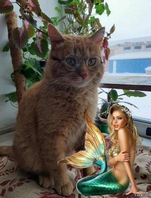 Кот учёный должен быть с русалкой. Это, так сказать, не разделимо.