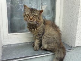 До и чуть позже.