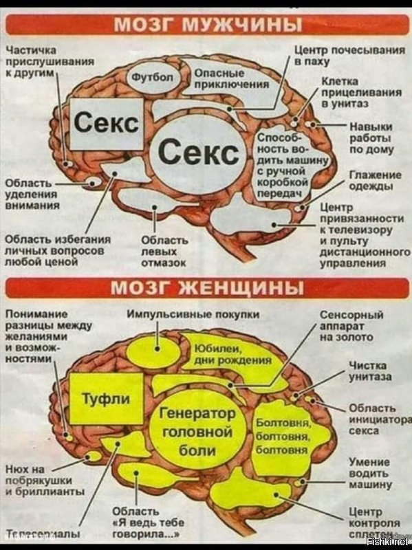 Вы нейробиолог ?