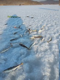 За день до этого купания...Злополучная коса на дальнем плане))