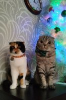 Взляды: "Ну, и какого тебе не спится в три часа ночи?!"