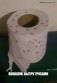 Как ходят в туалет и моются в Индии