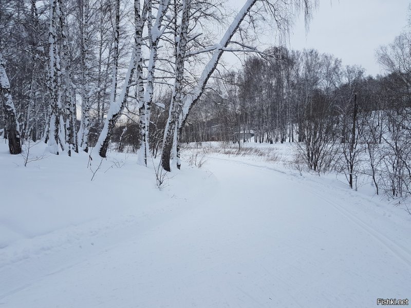 Солянка от 05.01.2020