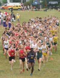 Фотоподборка