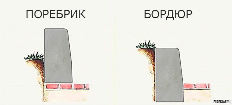 Солянка от 05.01.2020