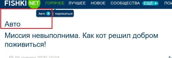 Эт ладно, но чё в этом разделе?