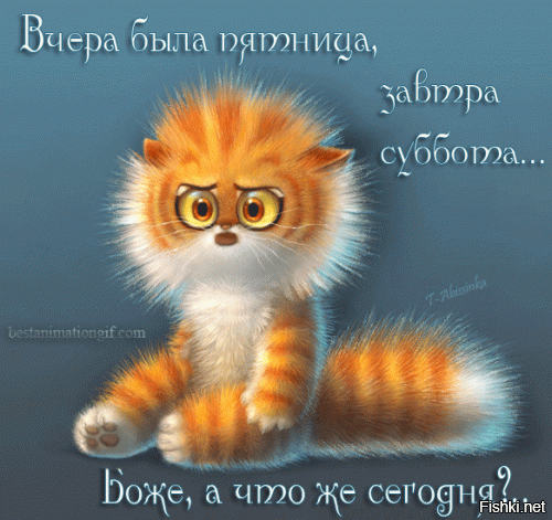 Солянка от 06.01.2020