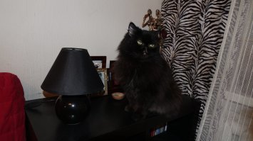 А этому 20 лет в сентябре будет...