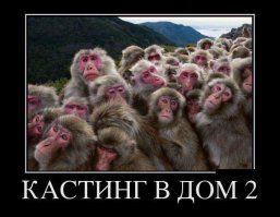 Парк обезьян в «Адской долине»