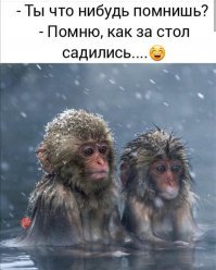 Парк обезьян в «Адской долине»