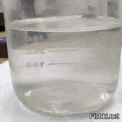 Я человек простой, кошек люблю, намеки не понимаю. Конкретнее, svp

.