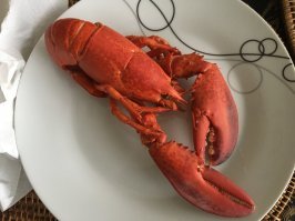 Это все хорошо но сыра не нашёл :)). Я обычно так не завтракаю :) но иногда можно