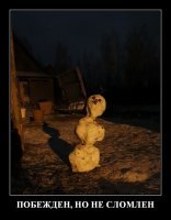 В этом году его проще из кокса слепить!