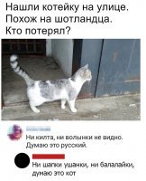 - Ну волынка то под хвостом есть.. А килт он снимает, когда волынит.
