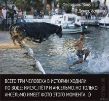 Секунда в секунду! Фото, сделанные в самый нужный момент