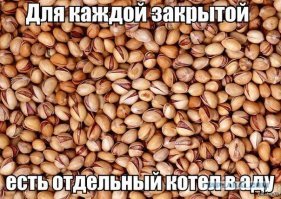 Почему фисташки продаются в скорлупе и почему они такие дорогие