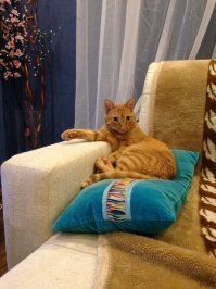 5 лет назад из приюта забрал