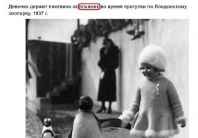 Может всё-таки за крыло, чай не рыба?