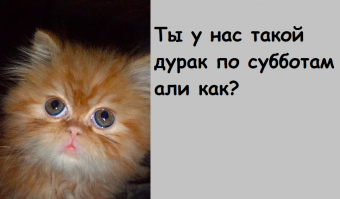 Концепт с комфортом