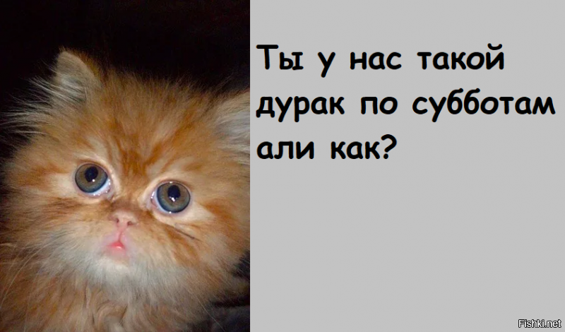 Концепт с комфортом