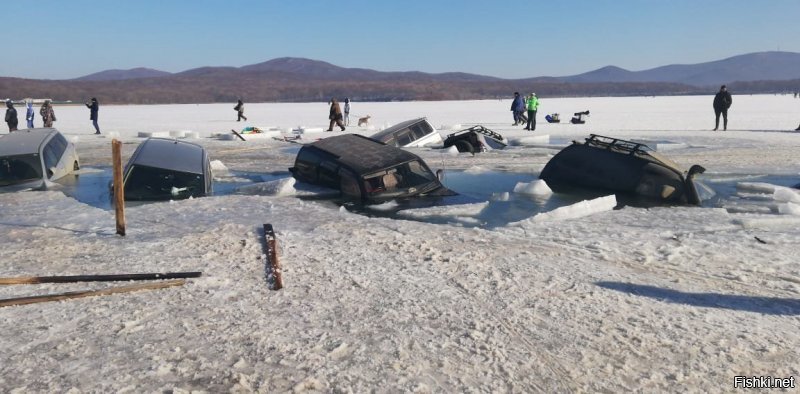 МЧСники работали бесплатно. Частники с эвакуаторами брали от 15 до 30 тысяч за машину в зависимости от сложности процесса.  Опреснить и высушить машину - ещё 10 тысяч. Замена испорченных электронных блоков вообще х.з. сколько стоит. Как повезёт. А там ведь гибриды со сложной электроникой занырнули.  Мы с сыном ходили вокруг них. Жалко машины - аж сердце заныло!....