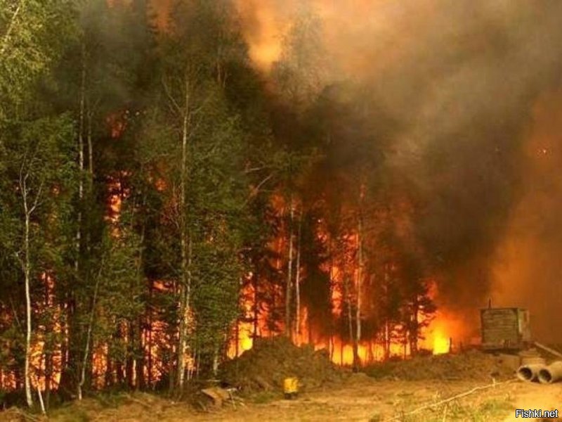 В 2019 году, у нас в Сибири было много пожаров. Смог от дыма пожаров над посёлками и городами стоял долго и плотно. Дышать было трудно из-за гари. Поэтому, я представляю, какого австралийцам сейчас.
Очень им сочувствую... Не дай Бог никому. Пожары это страшно!