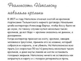 Пестрый мир кроликов