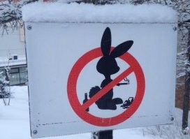 Пестрый мир кроликов