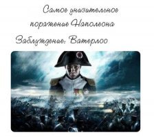 Пестрый мир кроликов