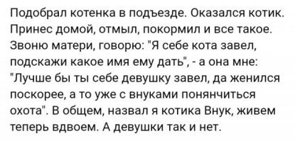 Котята