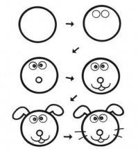 Пестрый мир кроликов