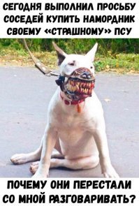 Прикольные и смешные картинки