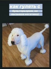 Прикольные и смешные картинки