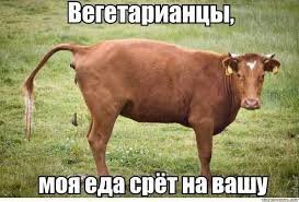 Так вот ты какая, веганская охота!