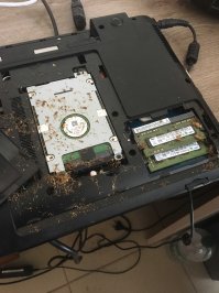 Мне тут недавно коллега принесла ноут. Посмотри, грит, чёто он включаться перестал... А там, как оказалось - тараканы оргии устраивали