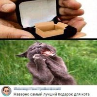 Прикольные и смешные картинки