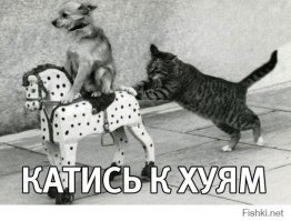 Ну так и катись к х-у-я-м на свои сайты !!!!