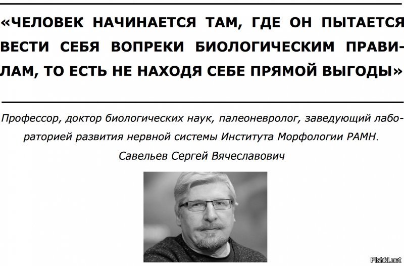 Для мозга лишней информации не бывает...