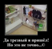 15 неординарных жизненных ситуаций, в которых нет места скуке