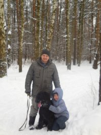 Русский черный терьер: жемчужина отечественного собаководства