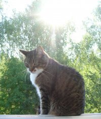 Вот такое сокровище, взятое на пару-тройку дней передержки на время морозов, еще при пленочных мыльницах.
Да "задержавшееся" до 12 мп зеркалок