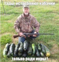 Так вот ты какая, веганская охота!