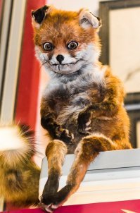 Ему не очень хорошо