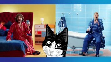 Эта парочка уже кота себе завела. Видать дело к свадьбе идёт.