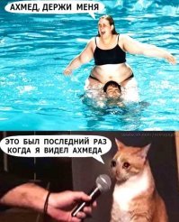 Картинки с надписями