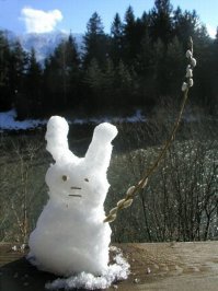 Пестрый мир зайцев