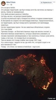 В Австралии не утихают лесные пожары, сообщается об 1 млрд. погибших животных