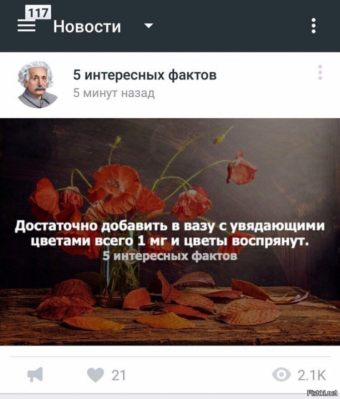 я добавил 2 мг и в пустой вазе появились цветы!