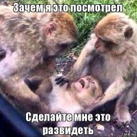 Прикольные и смешные картинки