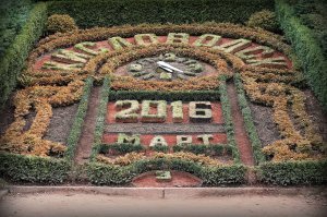 Цветочные часы и пивные часы. Все таки они немного разные.